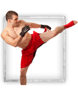 Artes marciais mistas, MMA